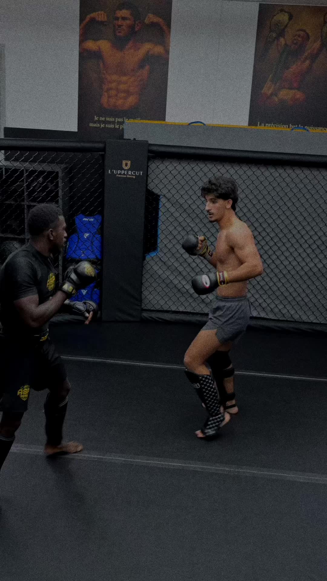@orlandomma