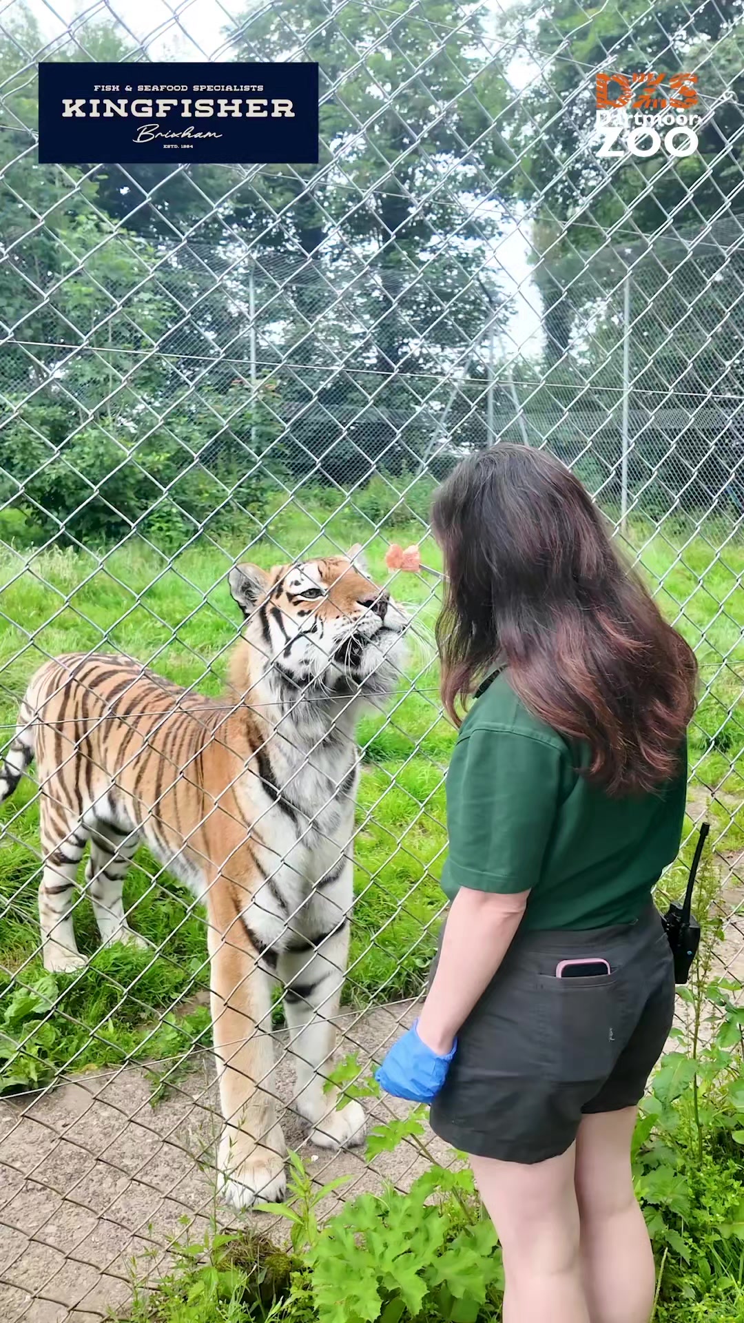 @Dartmoor Zoological Society