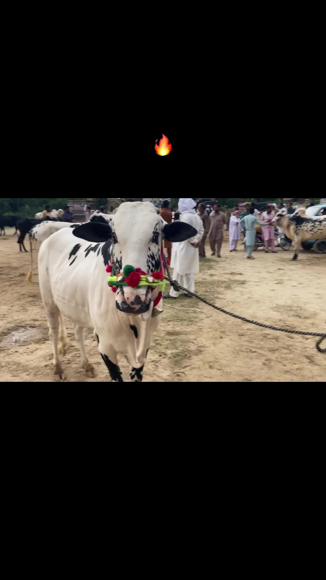 @Desi Life With Umar
