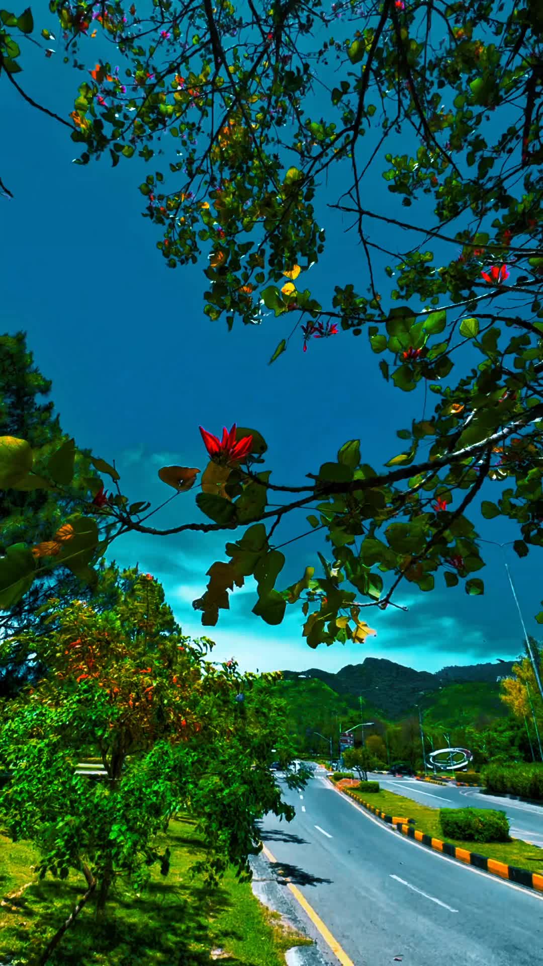 @Islamabad_beauty01