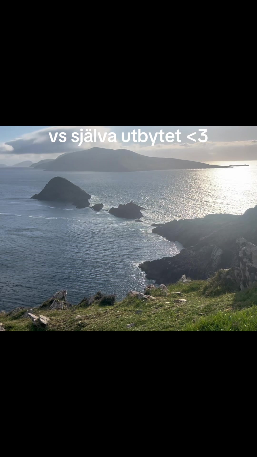 @Elin