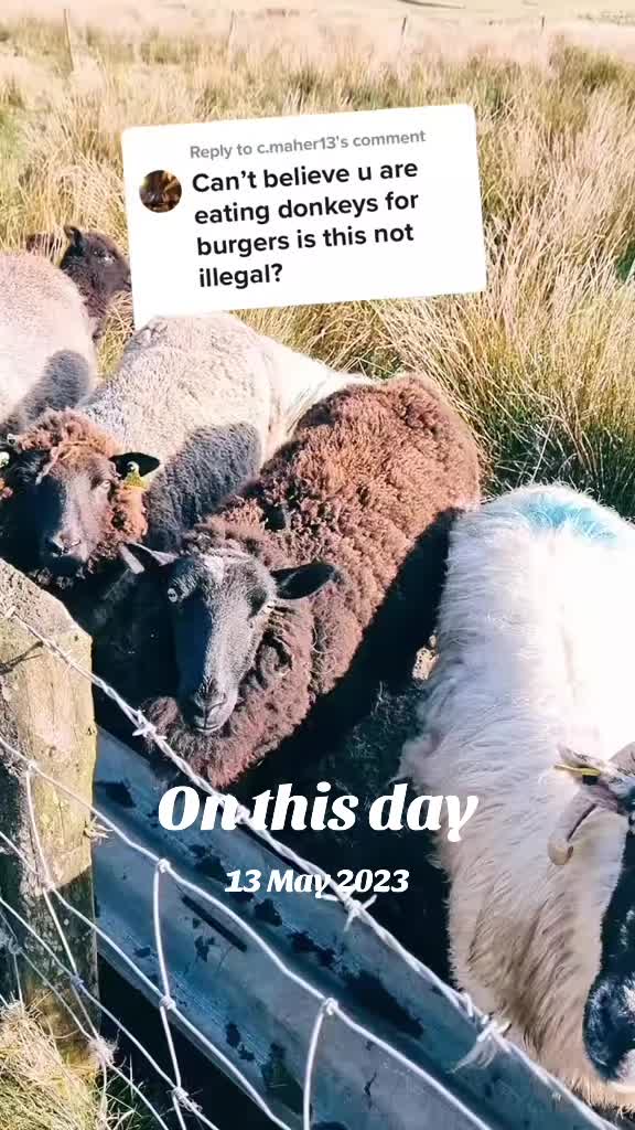 @finnowfarm