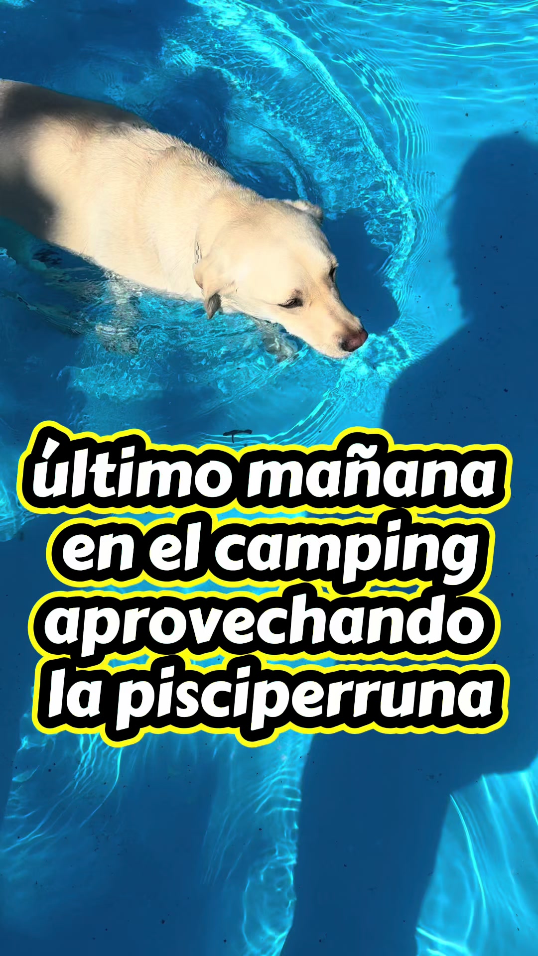 @COMEMELSUSHI