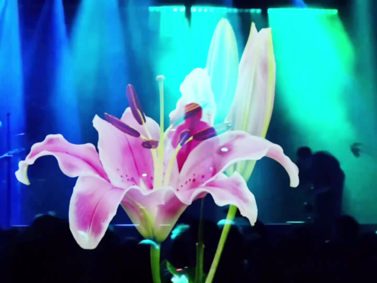 @𝐥𝐮𝐢𝐬