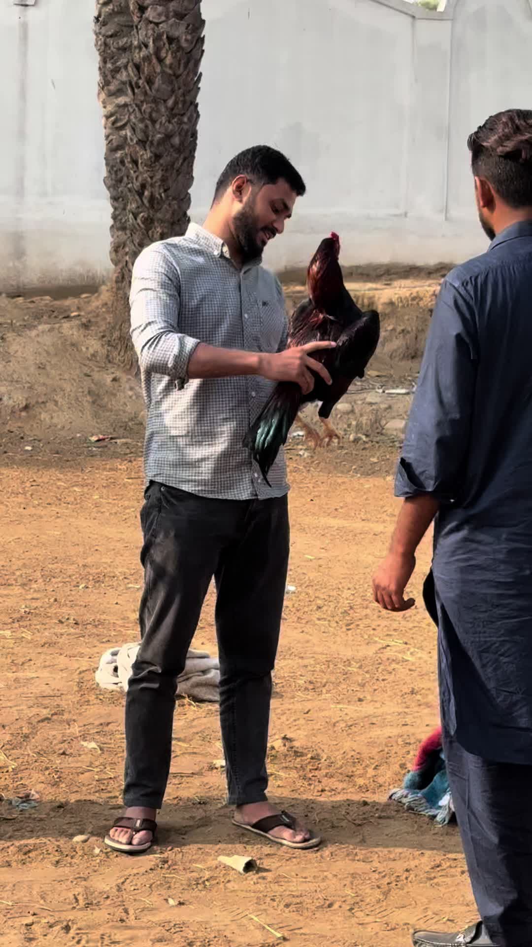 @⚜️چوہدری مصطفئ گجر⚜️