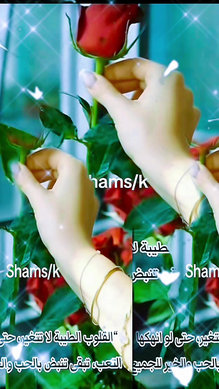 @Shams