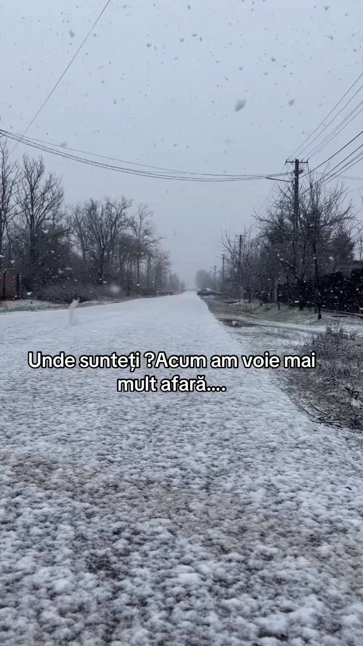 @ionelaionela852