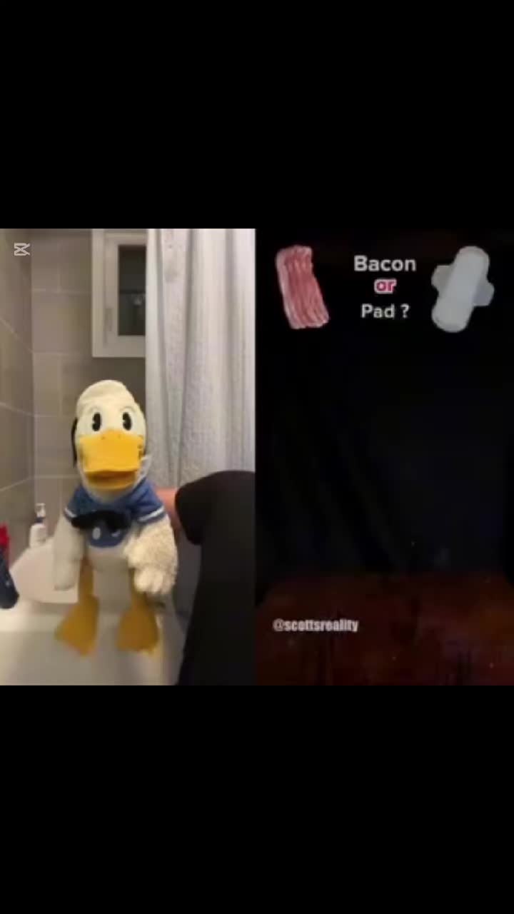 @DonaldDucc 🦆