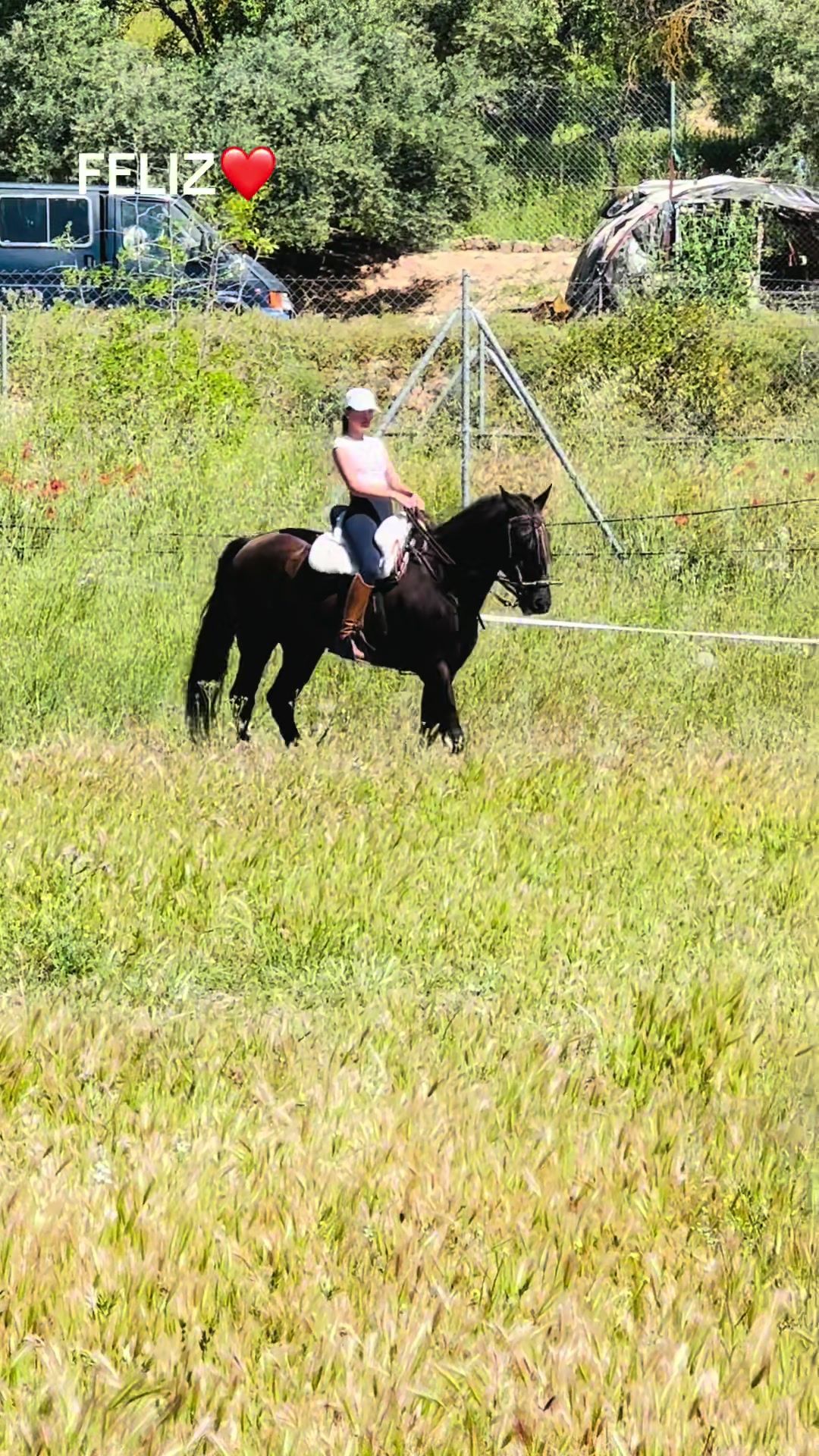 @Sandra Molina🐎🇪🇸