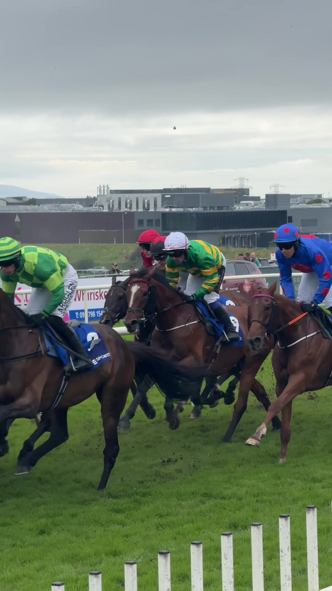 @Galway Races