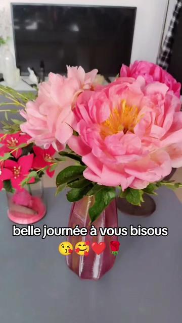 @🇨🇵🌹Nathou🌹🇵🇹
