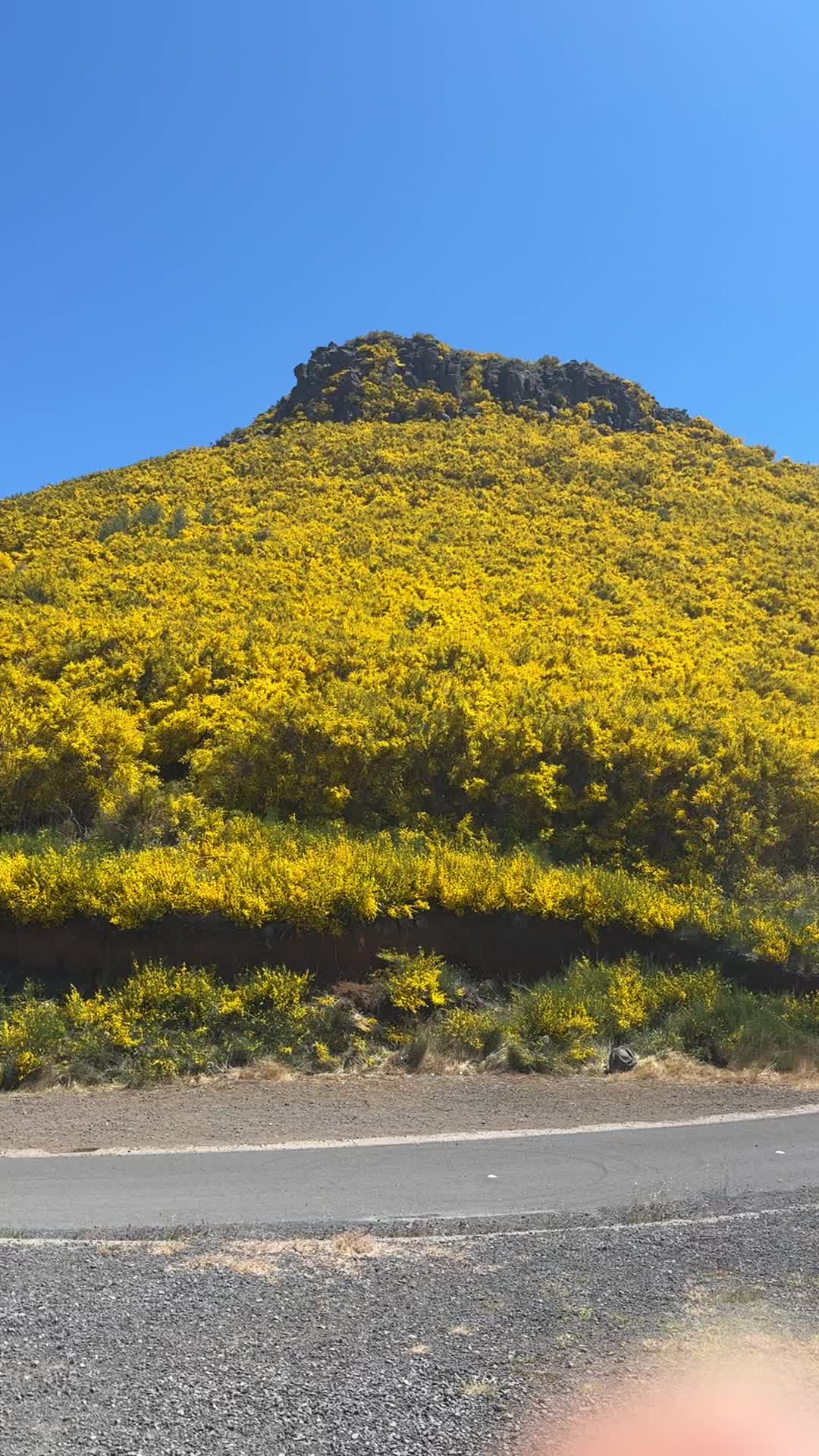 @ImpactAzul Madeira Island Tour