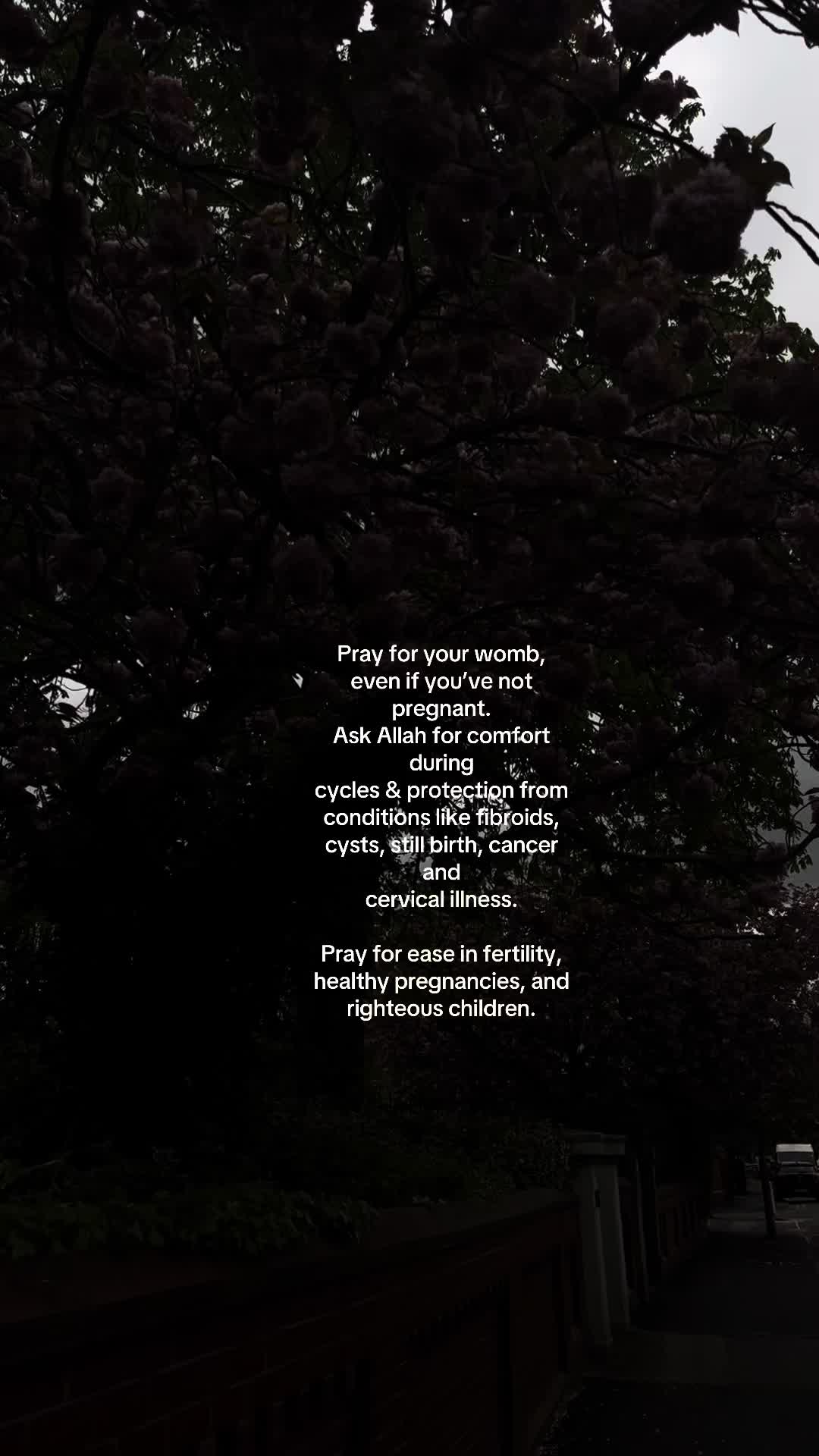 @No Doubt🕊️