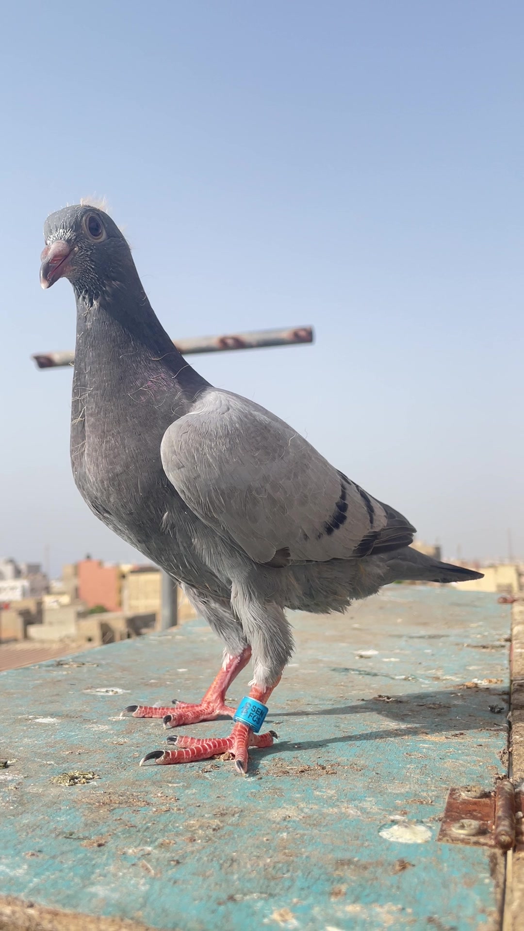 @OMZOLOFT🕊🦜🇸🇳