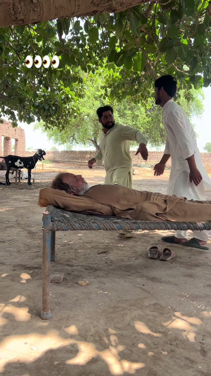@پینڈو بوائز 378
