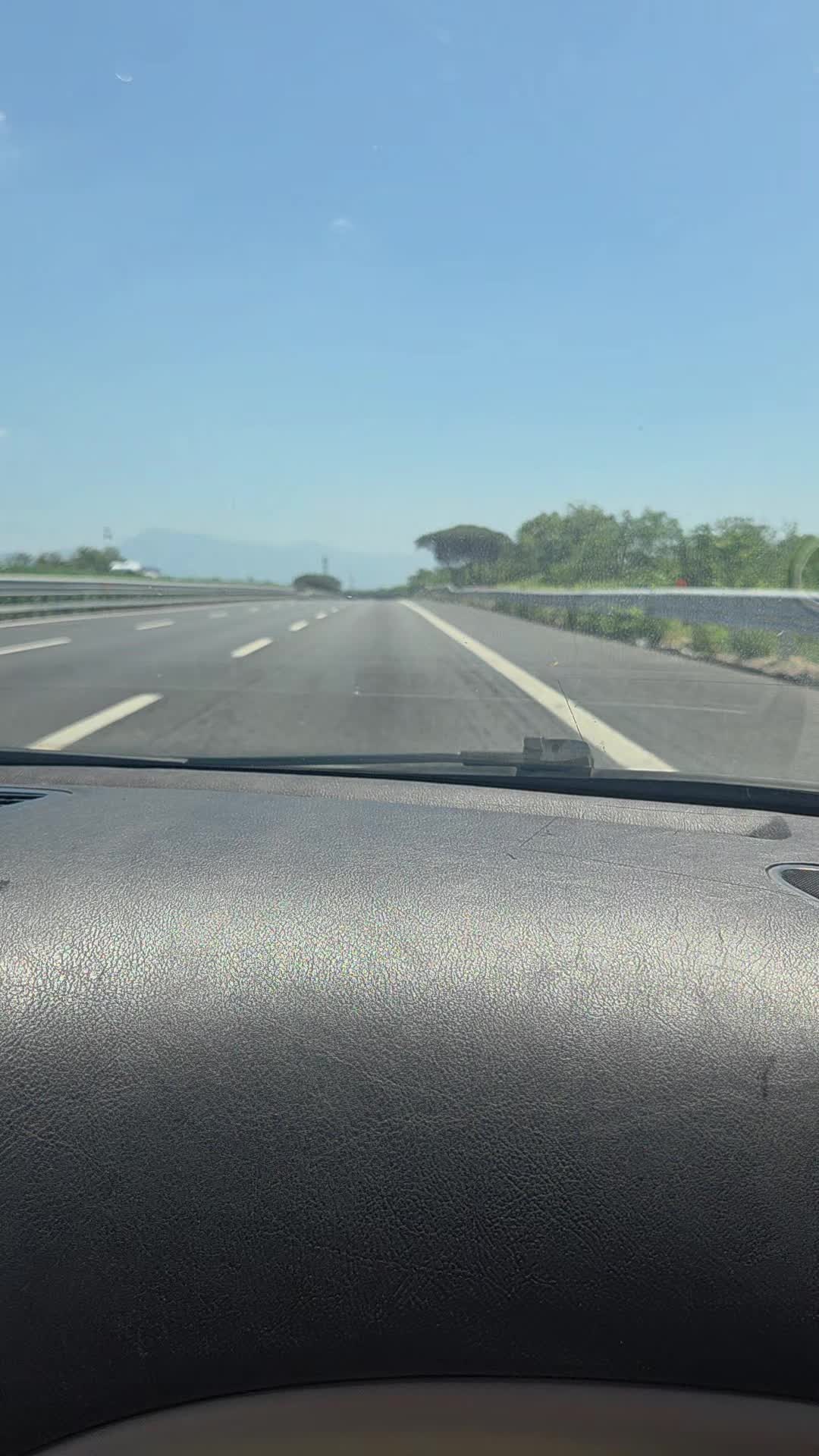 @annamigliaro458