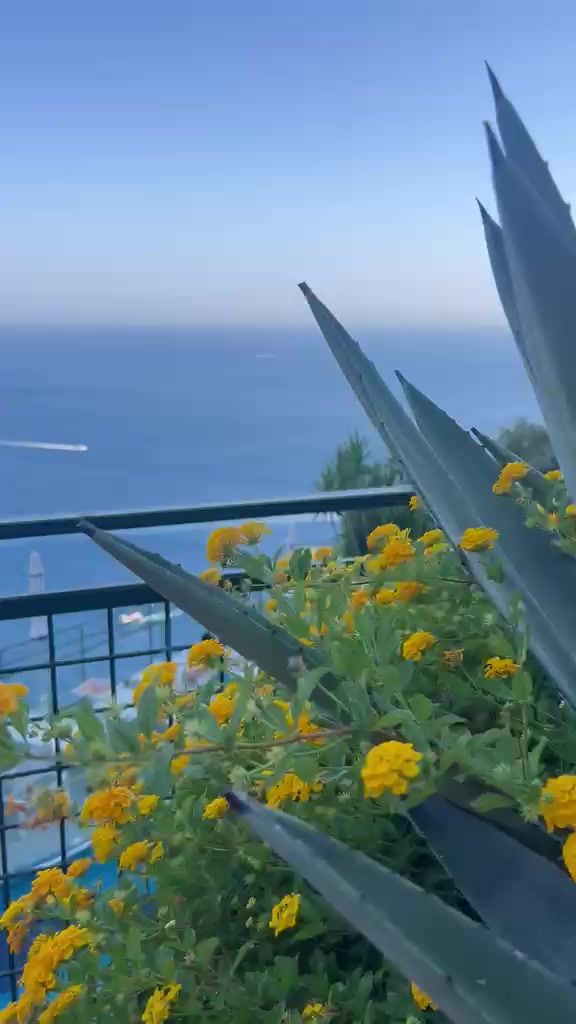 @leagavipositano