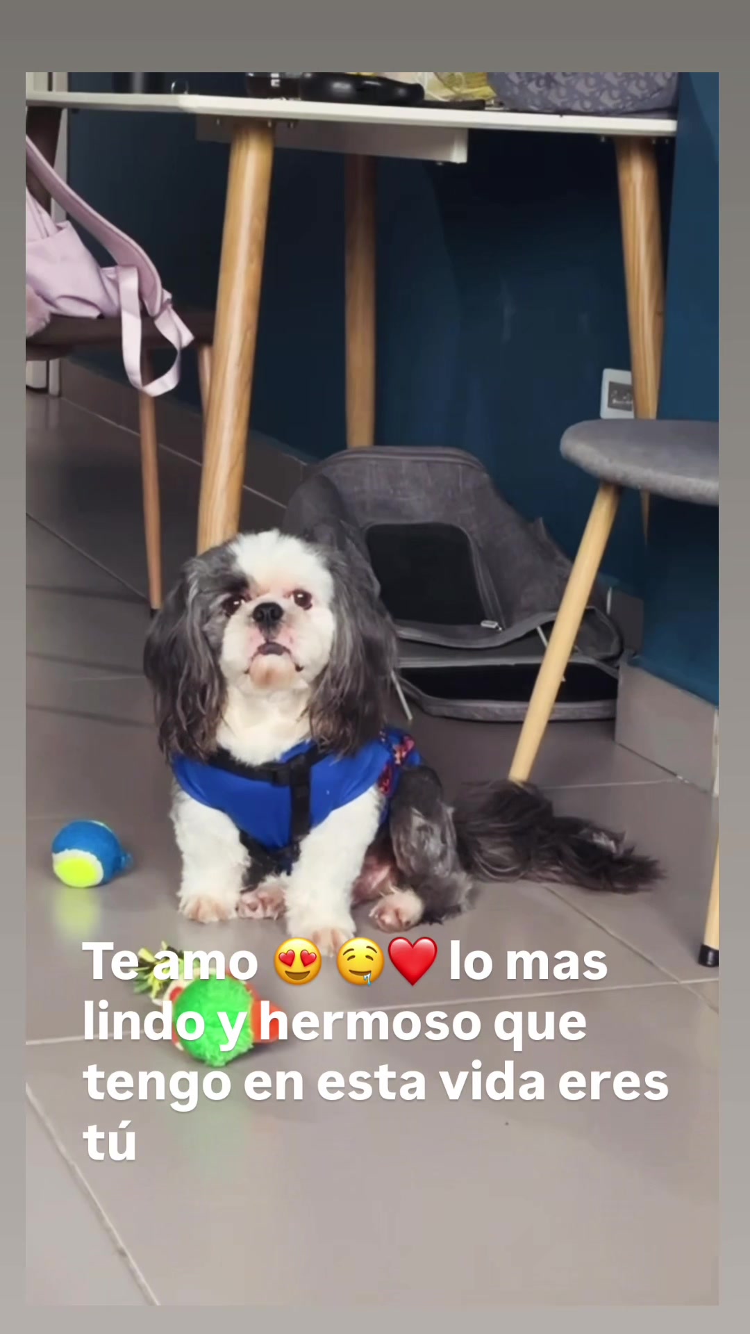 @IVONNY.30