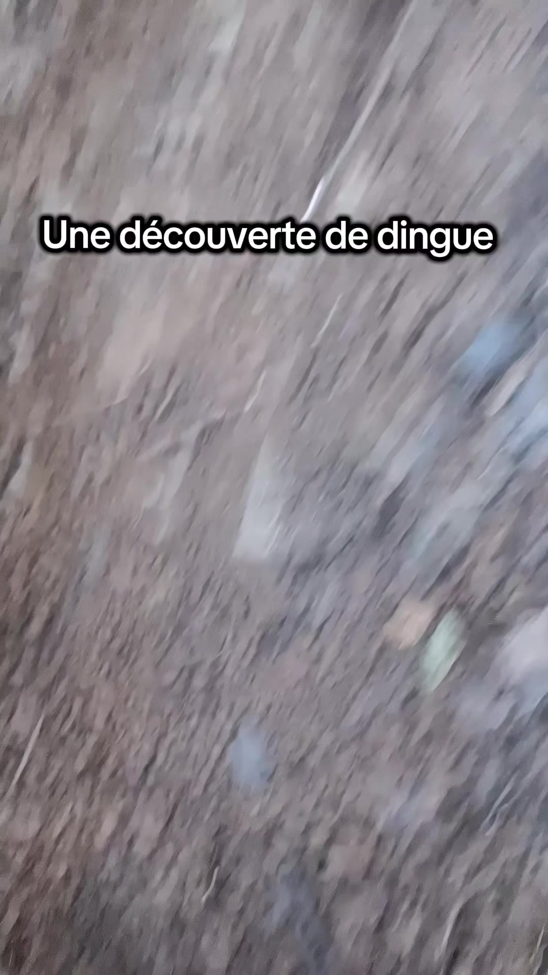 @DétecteurDeTrésor💥