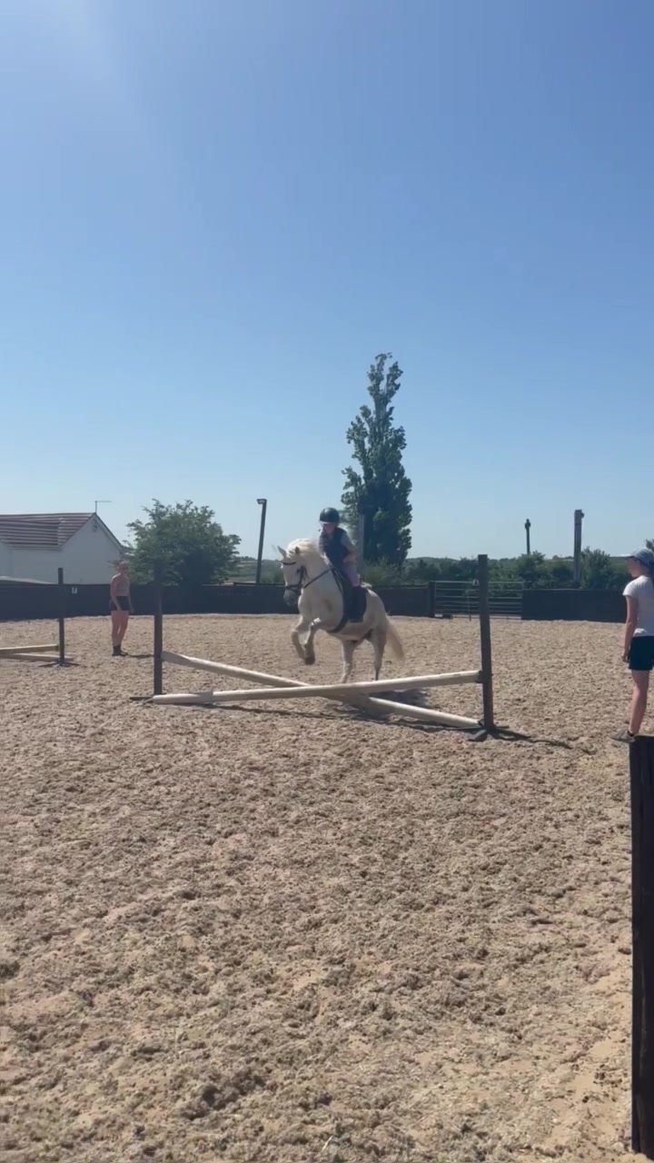 @LottiesHorseAdventures🦄🐴