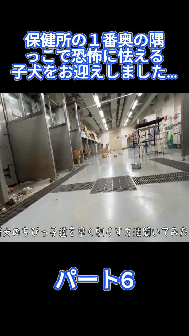@ブルドッグぶるまるチャンネル Fan