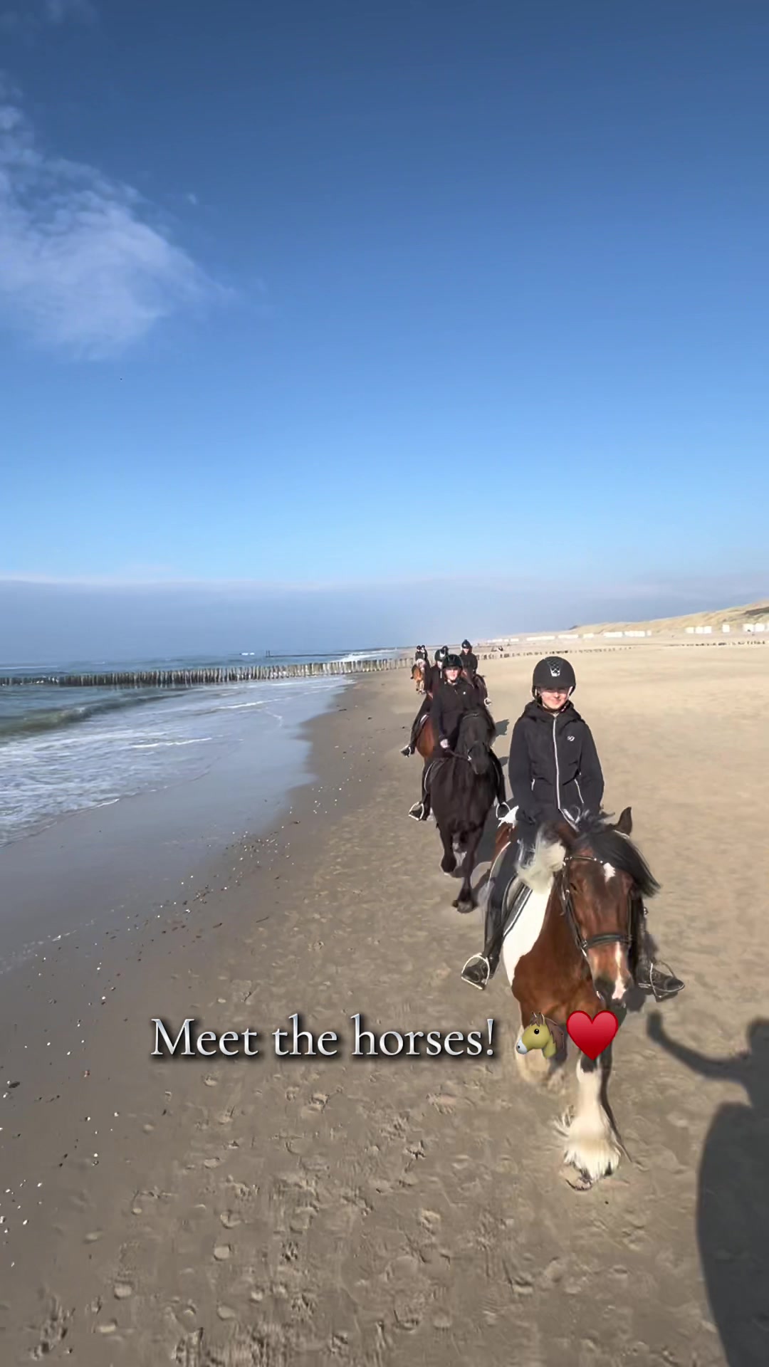@Manege Duno