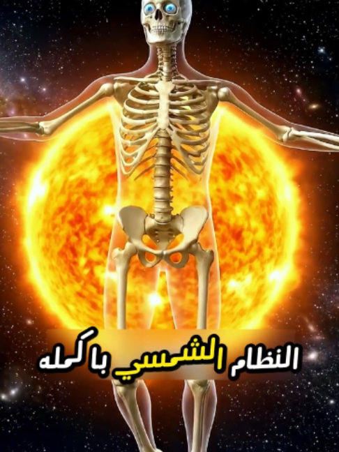 @skeleton adventures