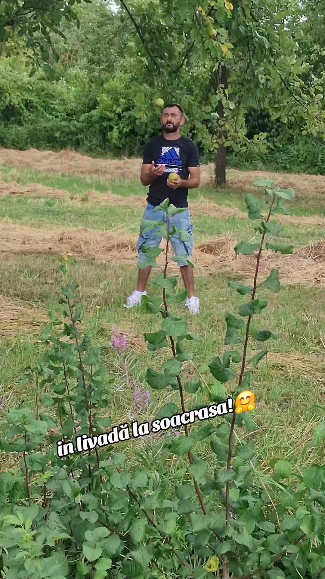 @floryana flory șefa ta💪❤️😉