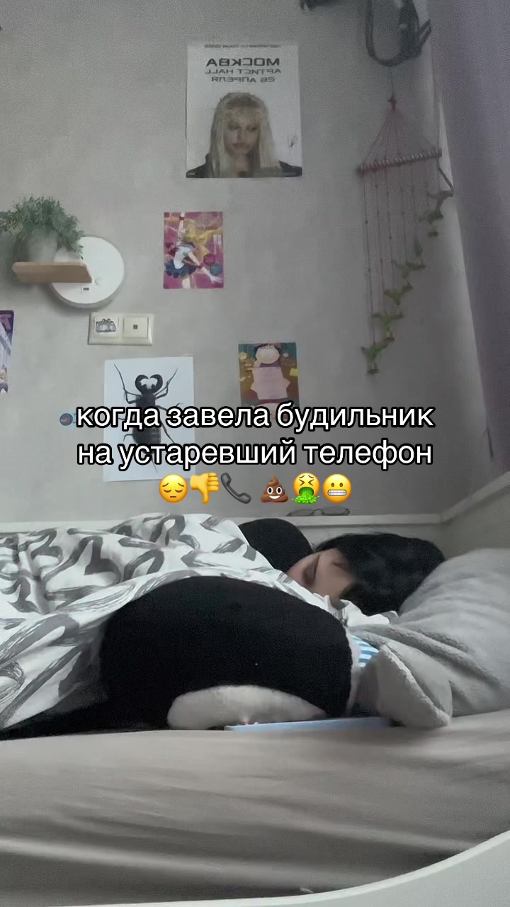 @pingu