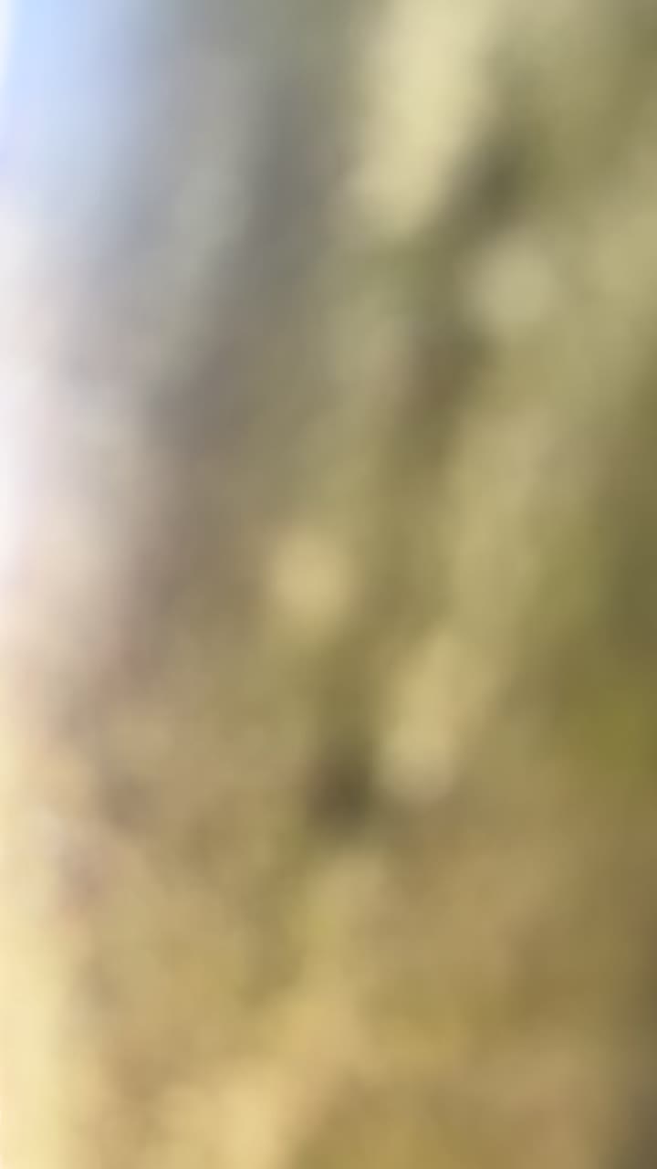 @ng17_aj
