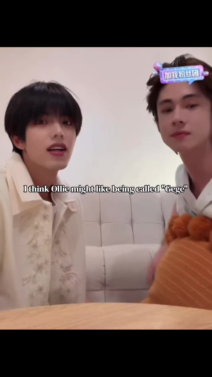 @✨🦊🐯✨