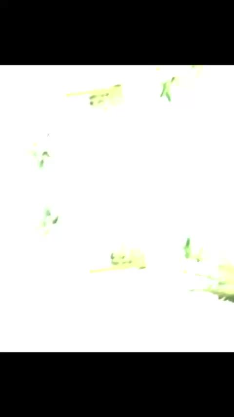 @A N E E B