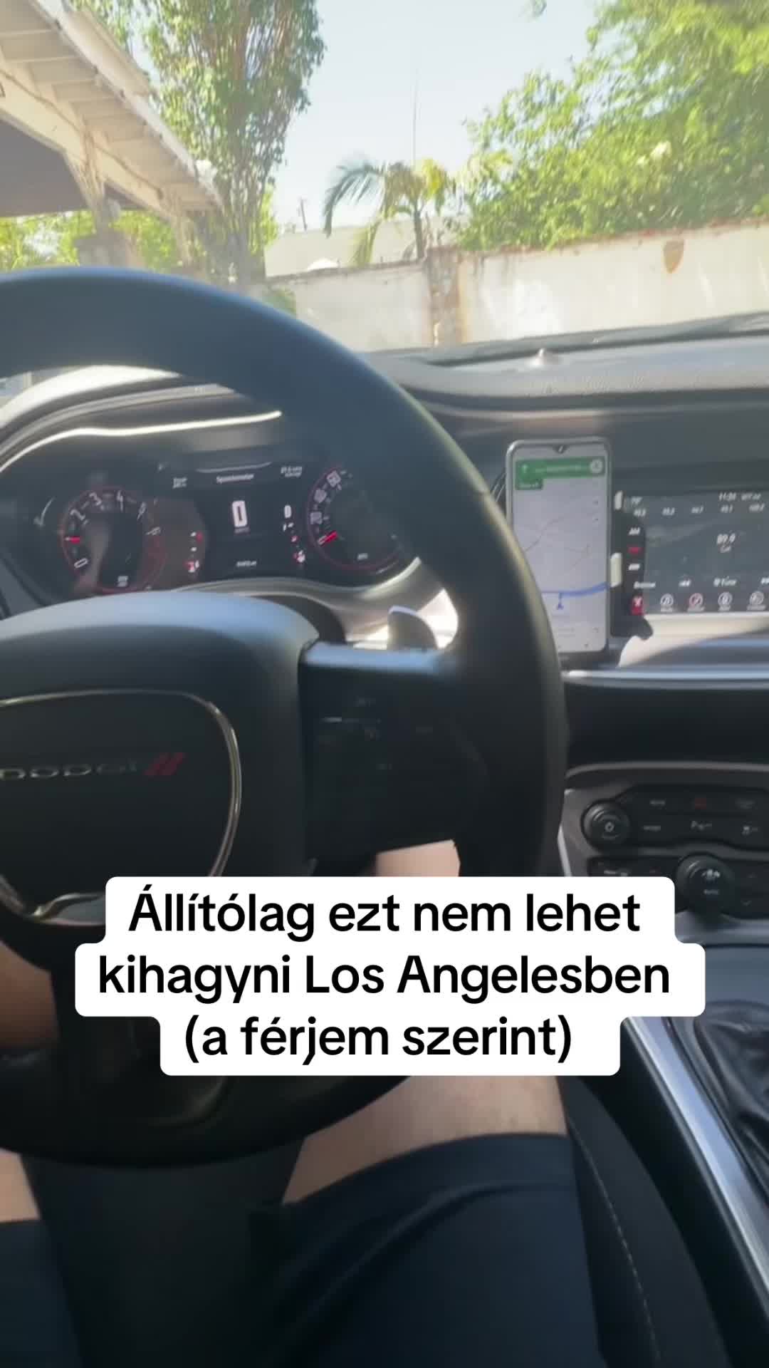@Sára Szász