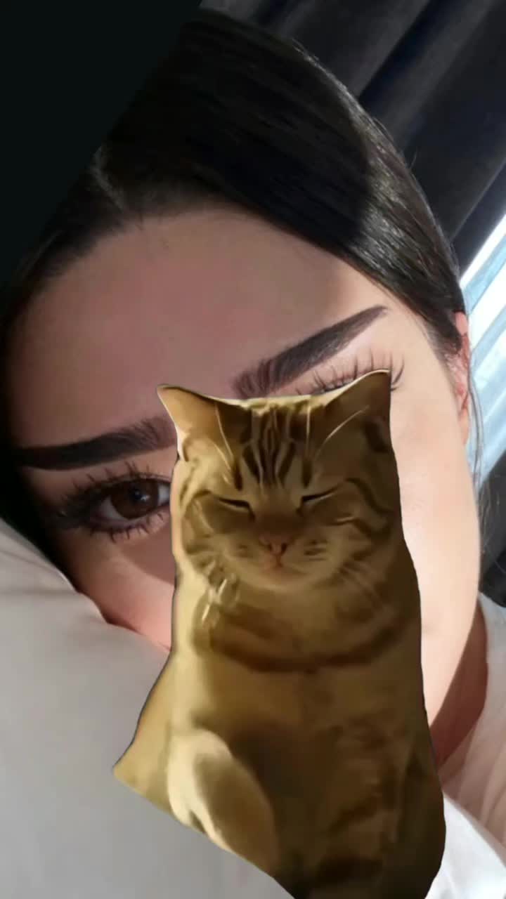@๐ญ๐๐๐๐๐๐๐๐๐ฤฏ๐๐
