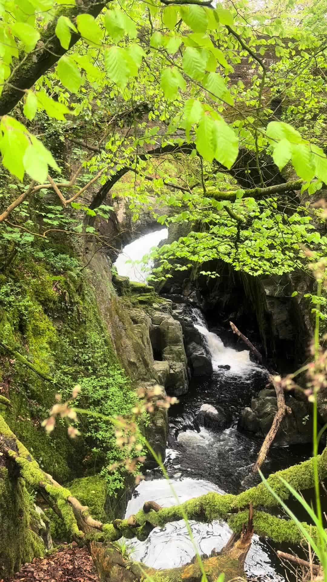 @amanda173000