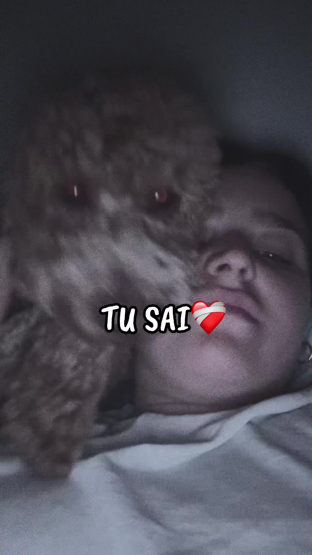 @SaraIacobino02