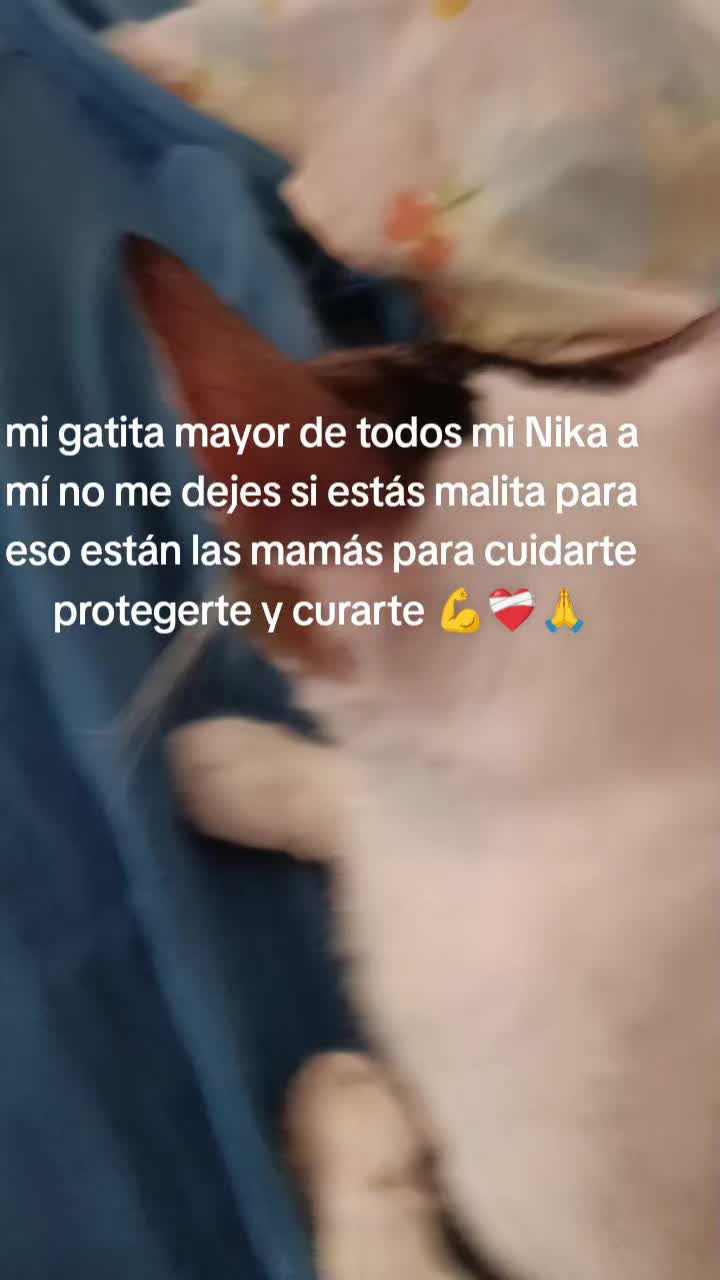 @Vero Jimenez Ferrer