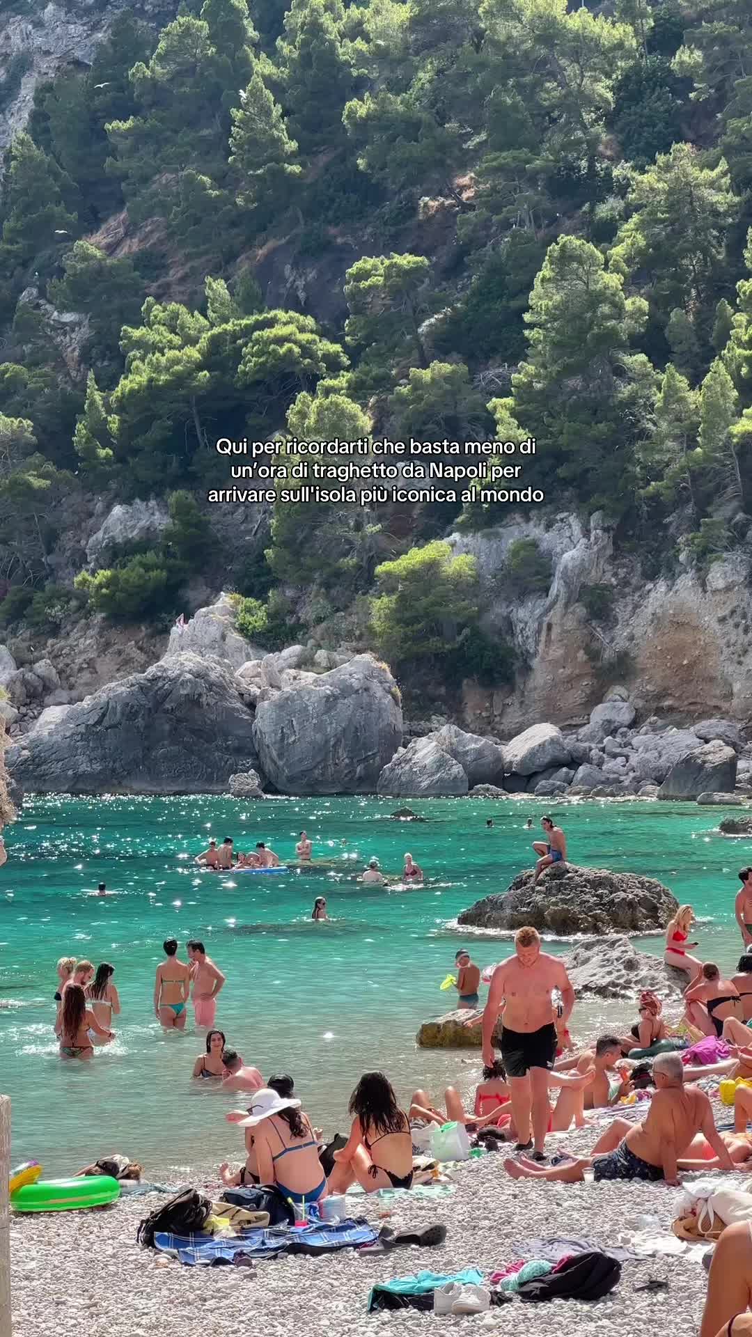 @Carmen Aprile