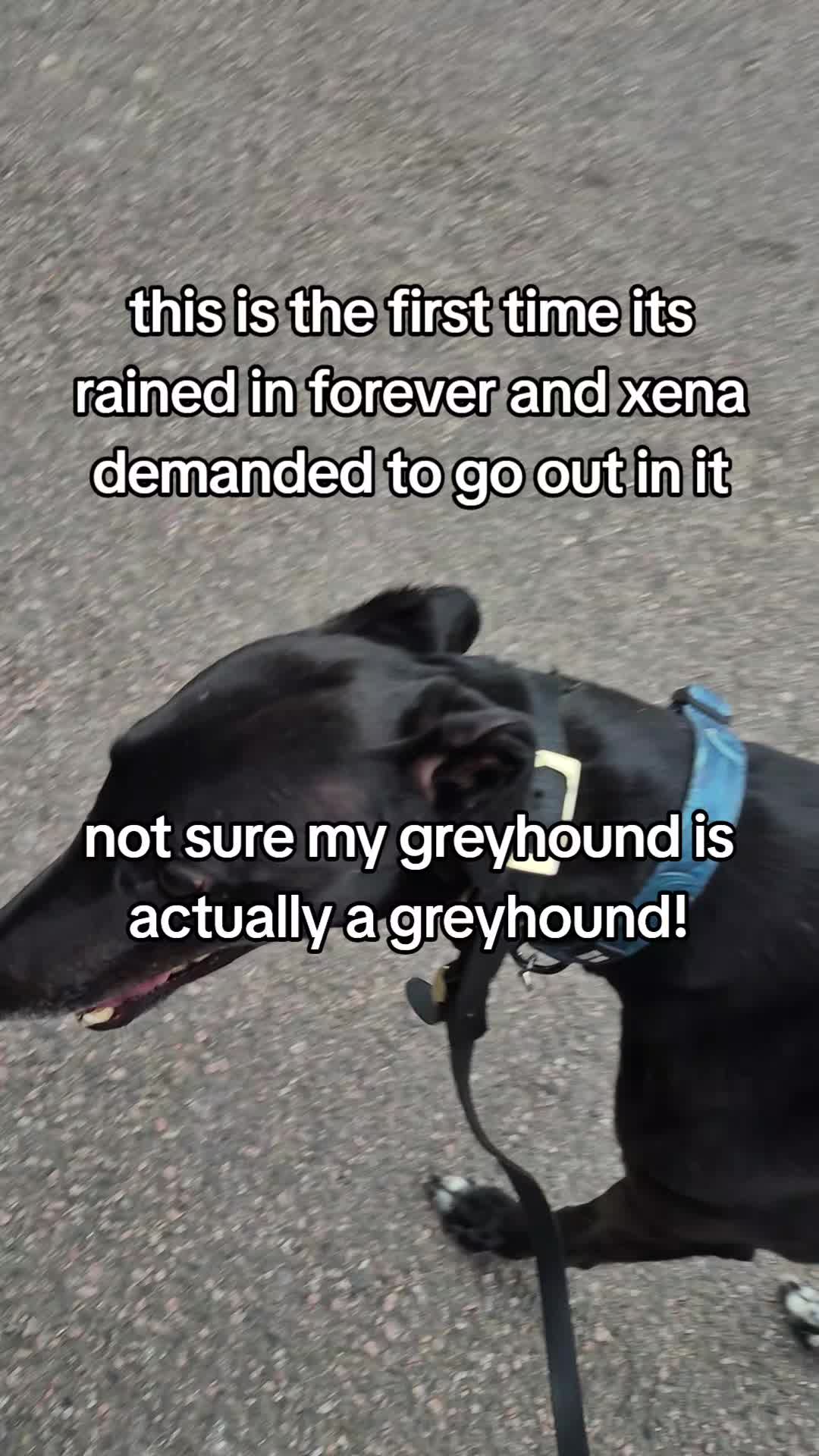@xena