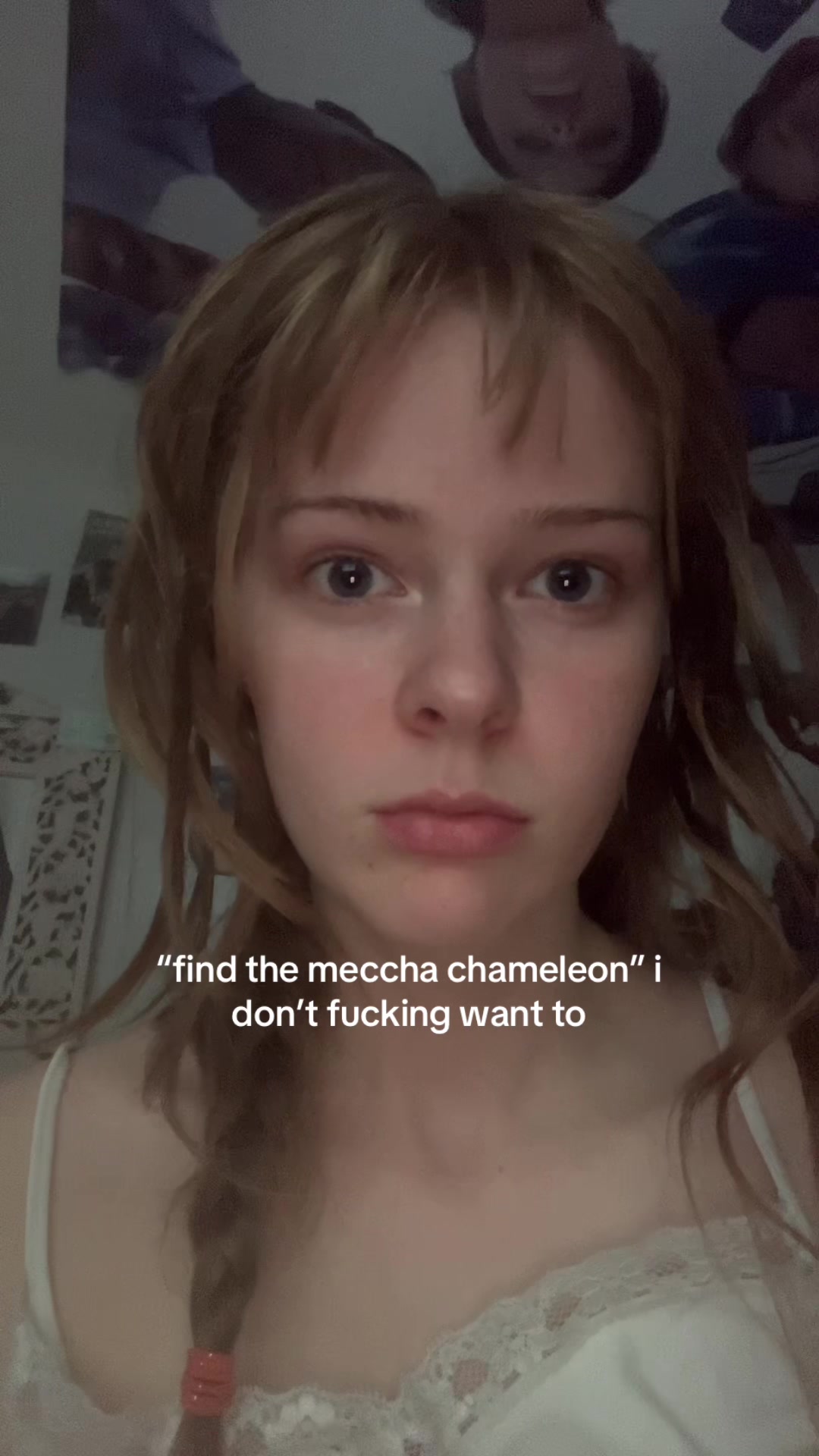 @yapneb