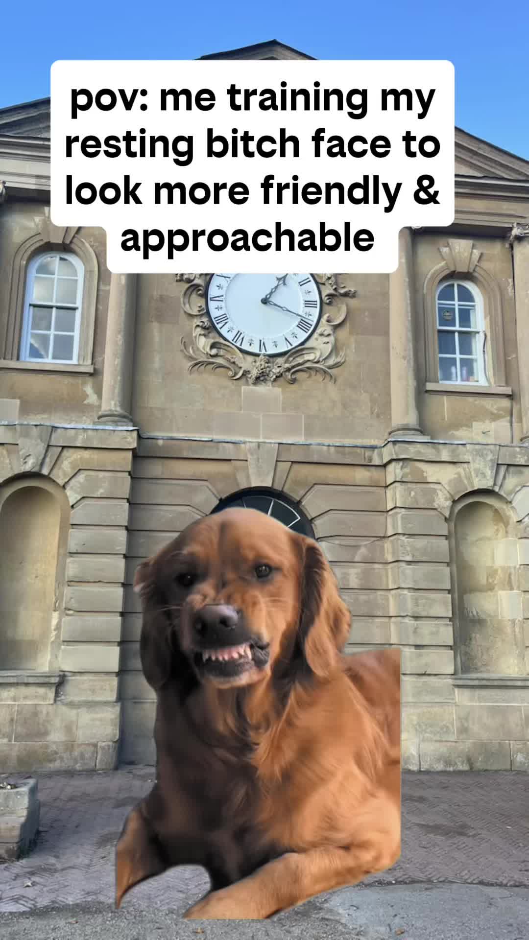@Megan_sparkles