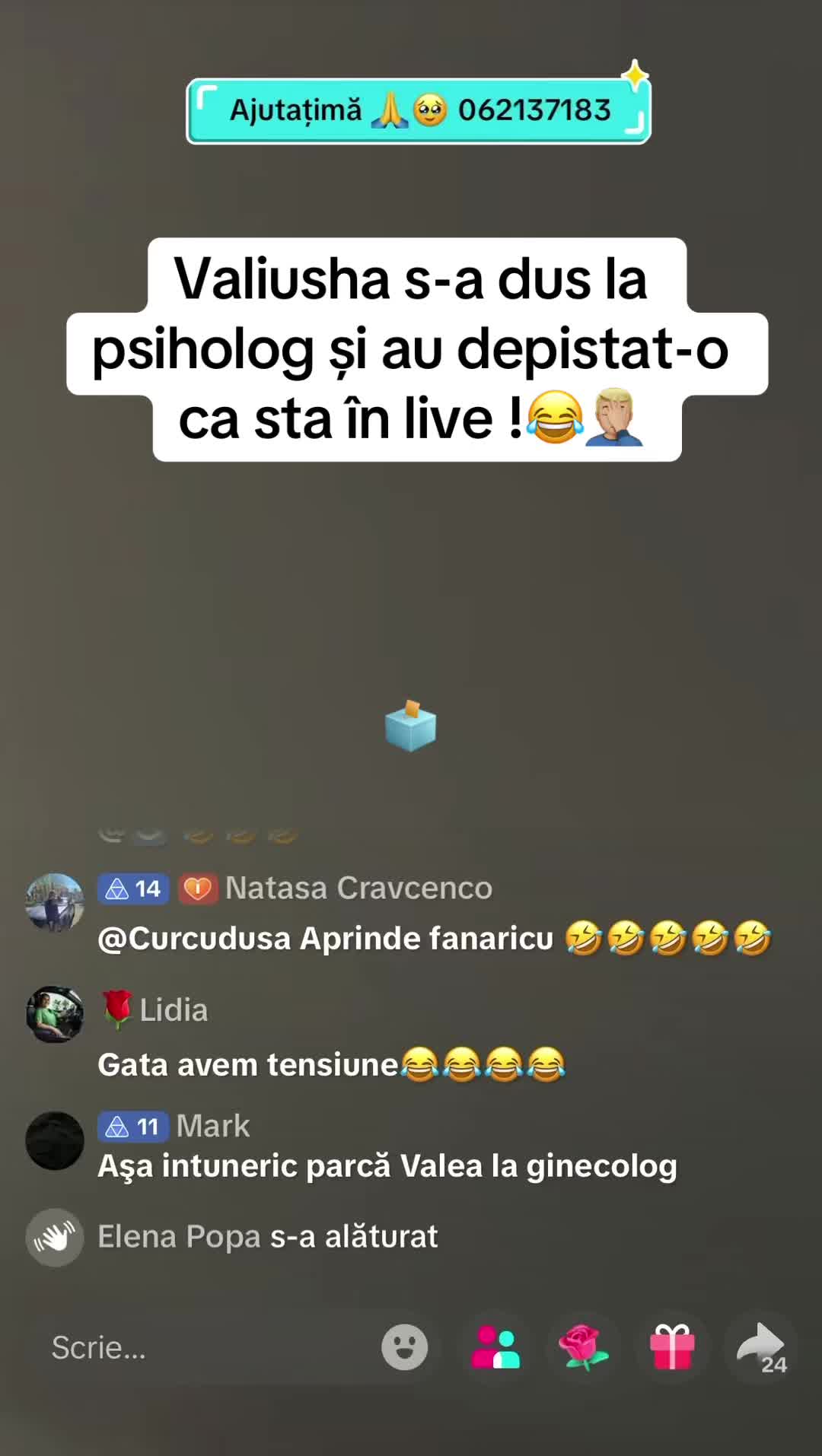 @Cutia pandorei 🗳️