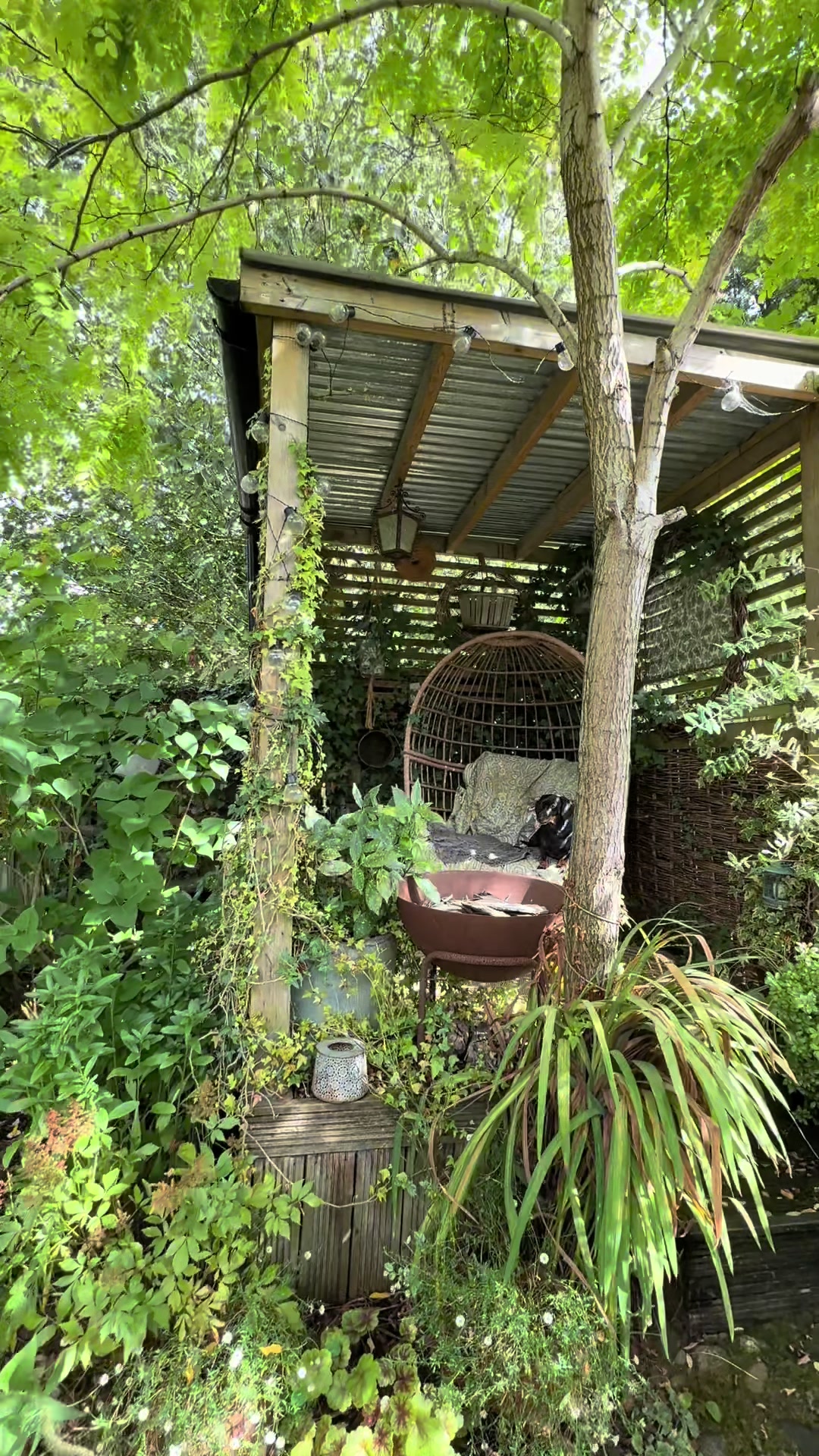 @Brookcottage