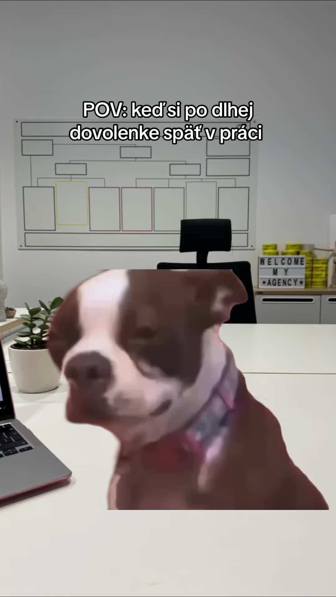 @My Brand Agency