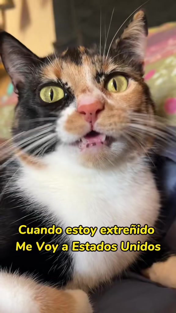 @BlackMisy