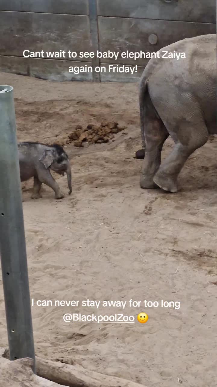@Amber's Animal Adventures