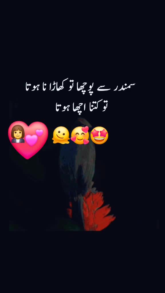 @amaan1949