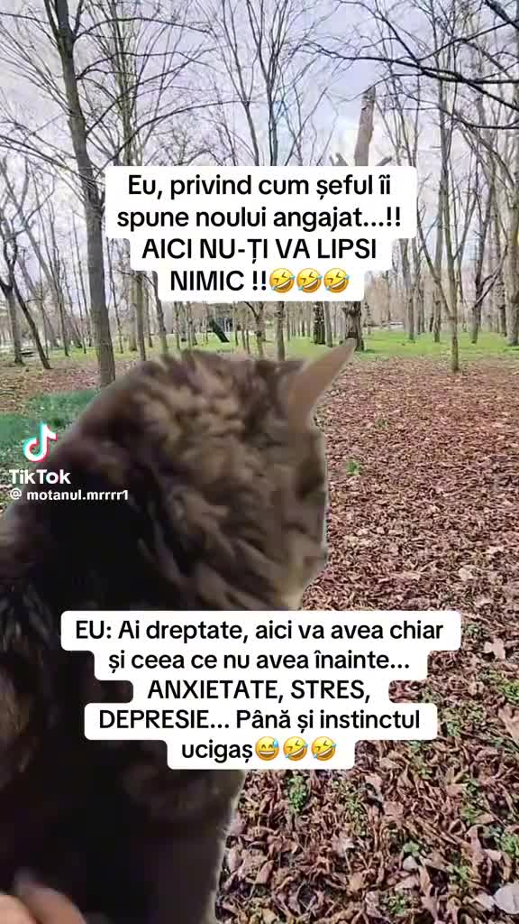 @👑 Mona-Lisa ochi albaștri 👑