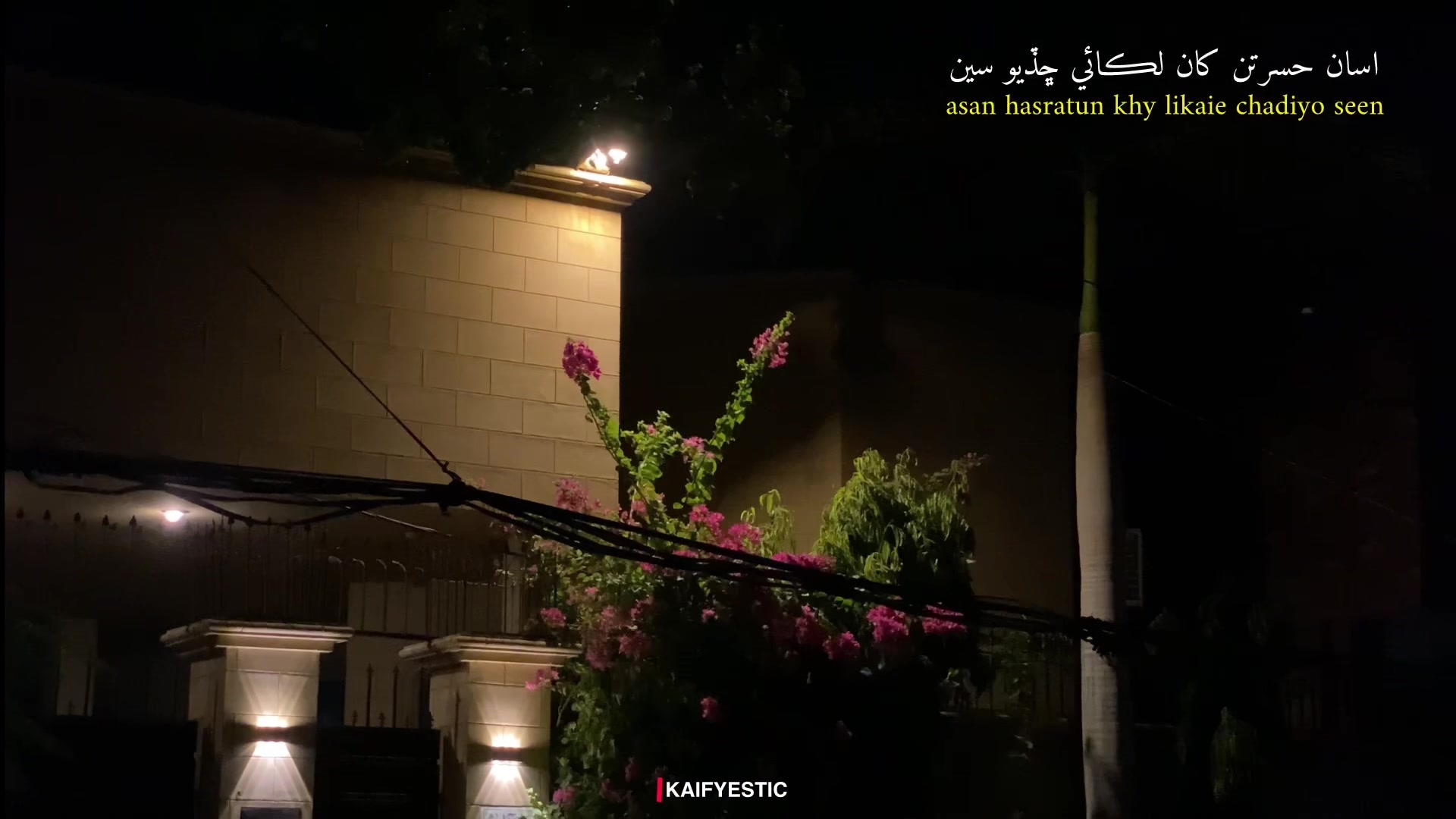 @ڪيفي بلوچ🚩