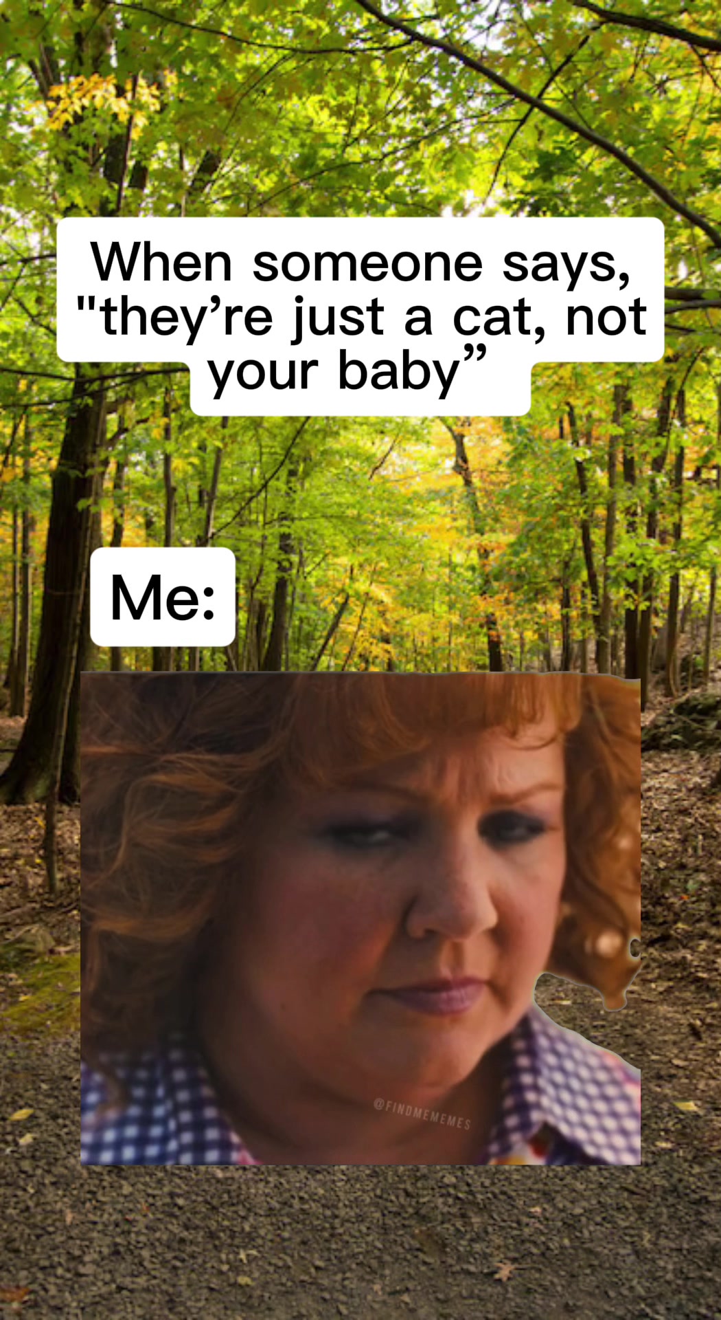 @Awesomepawsome2017